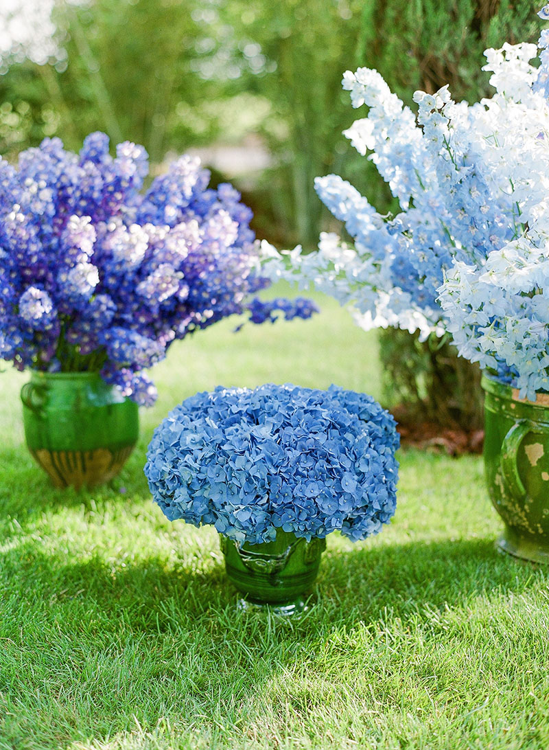 blue floral design